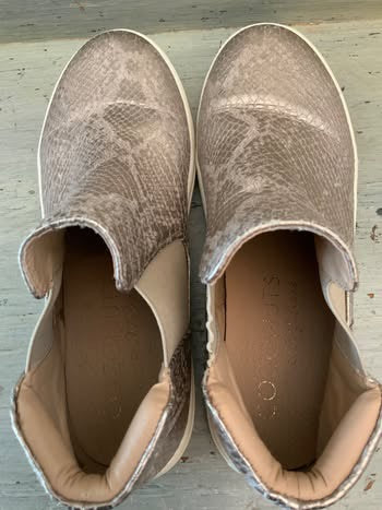 Coconuts by Matisse Champagne Faux Snake Skin Mid Top Sneakers Size 6 Good Condition