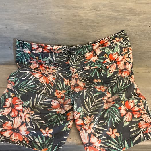 Aeropostale Shorts Men’s Tropical Print Men’s 36” Like New
