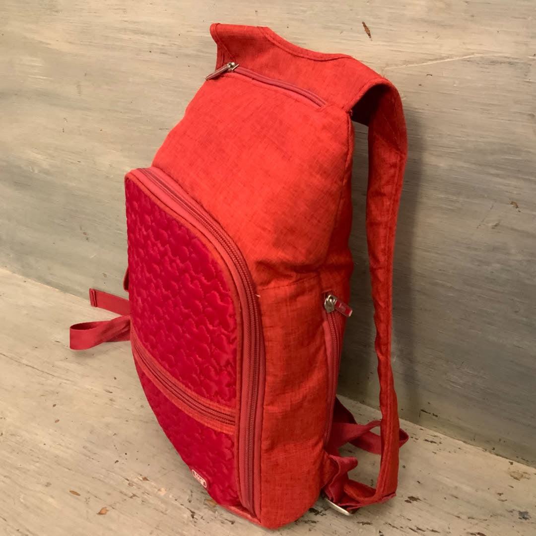 LUG Red Multipocketed Travel Bag Backpack 10x14x3 Good Condition