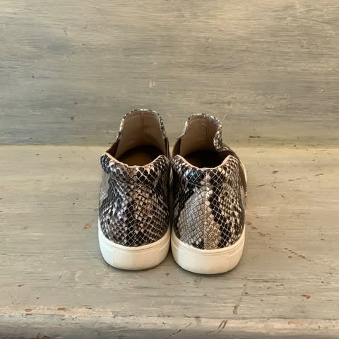 Coconuts by Matisse Faux Snake Skin Mid Top Sneaker Size 6 Good Condition