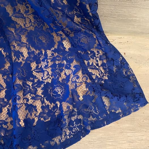 Gabby Skye Royal Blue Lace Tan Under Lining Sleeveless Fit and Flare Dress Size 18W Like New