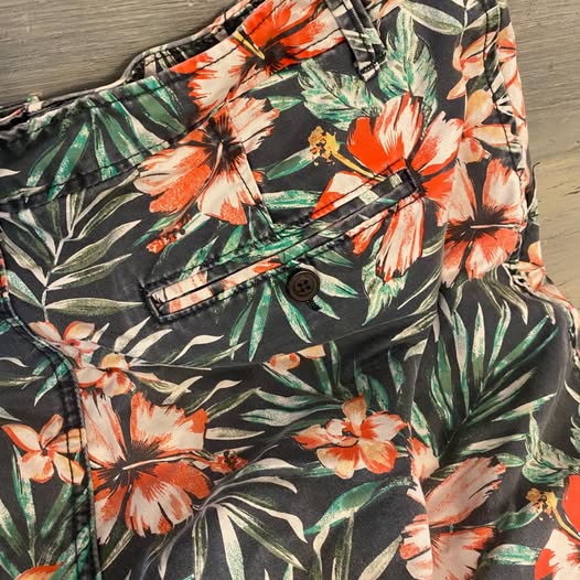 Aeropostale Shorts Men’s Tropical Print Men’s 36” Like New