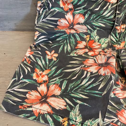 Aeropostale Shorts Men’s Tropical Print Men’s 36” Like New