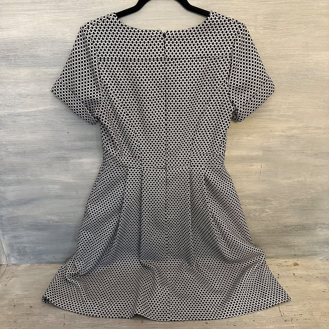 Adrianna Papell Dress Fit Flare Short Cuffed Sleeve Sweetheart Neck Black White Size 8 Like New